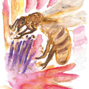 Aquarellpostkarte Honigbiene von Claudia Edelmayer-Murri, Coach, Künstlerin und Autorin