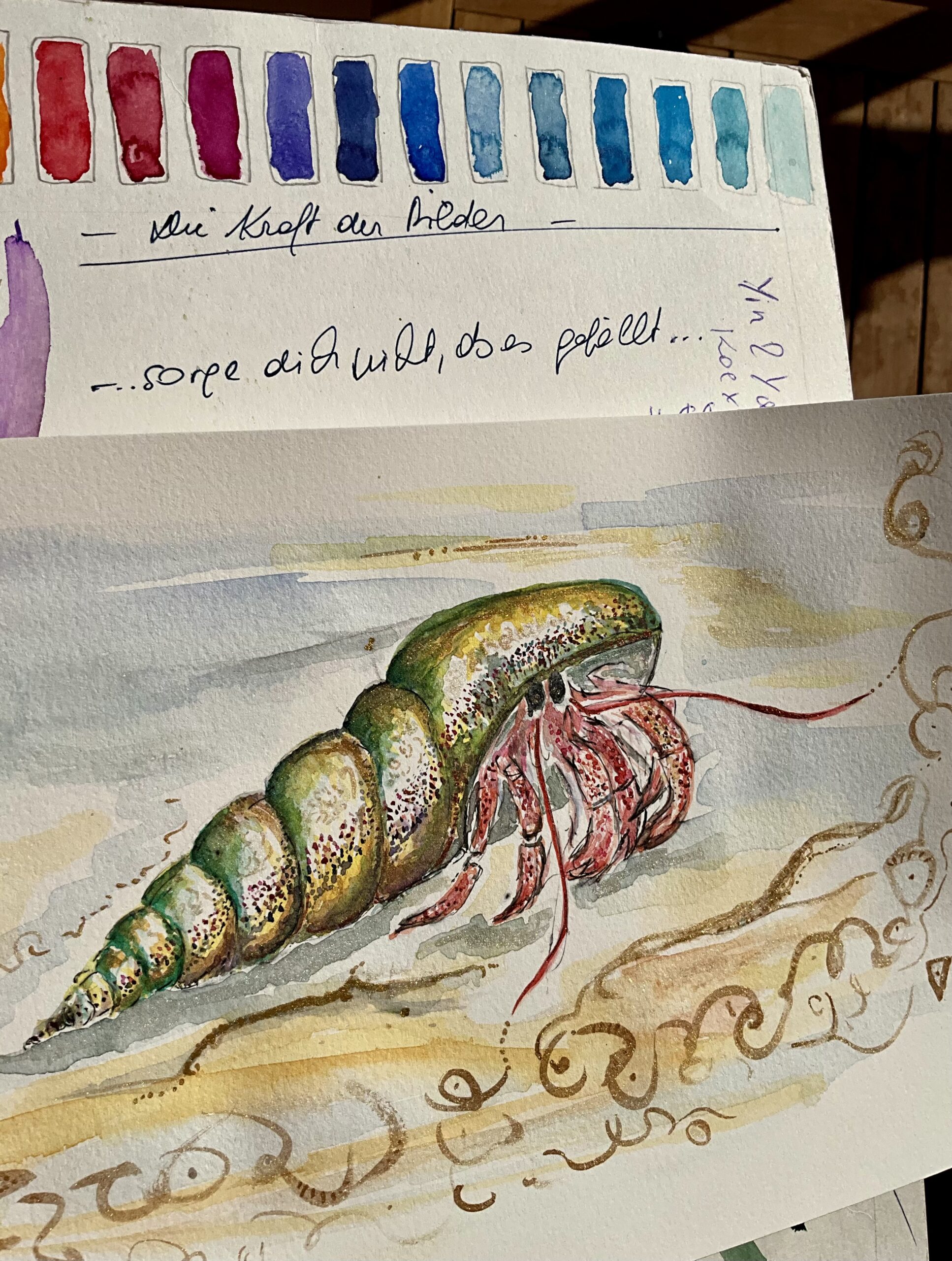 Krafttier Einsiedlerkrebs_Aquarell_seaside collection_Claudia Edelmayer-Murri_Edelmurri
