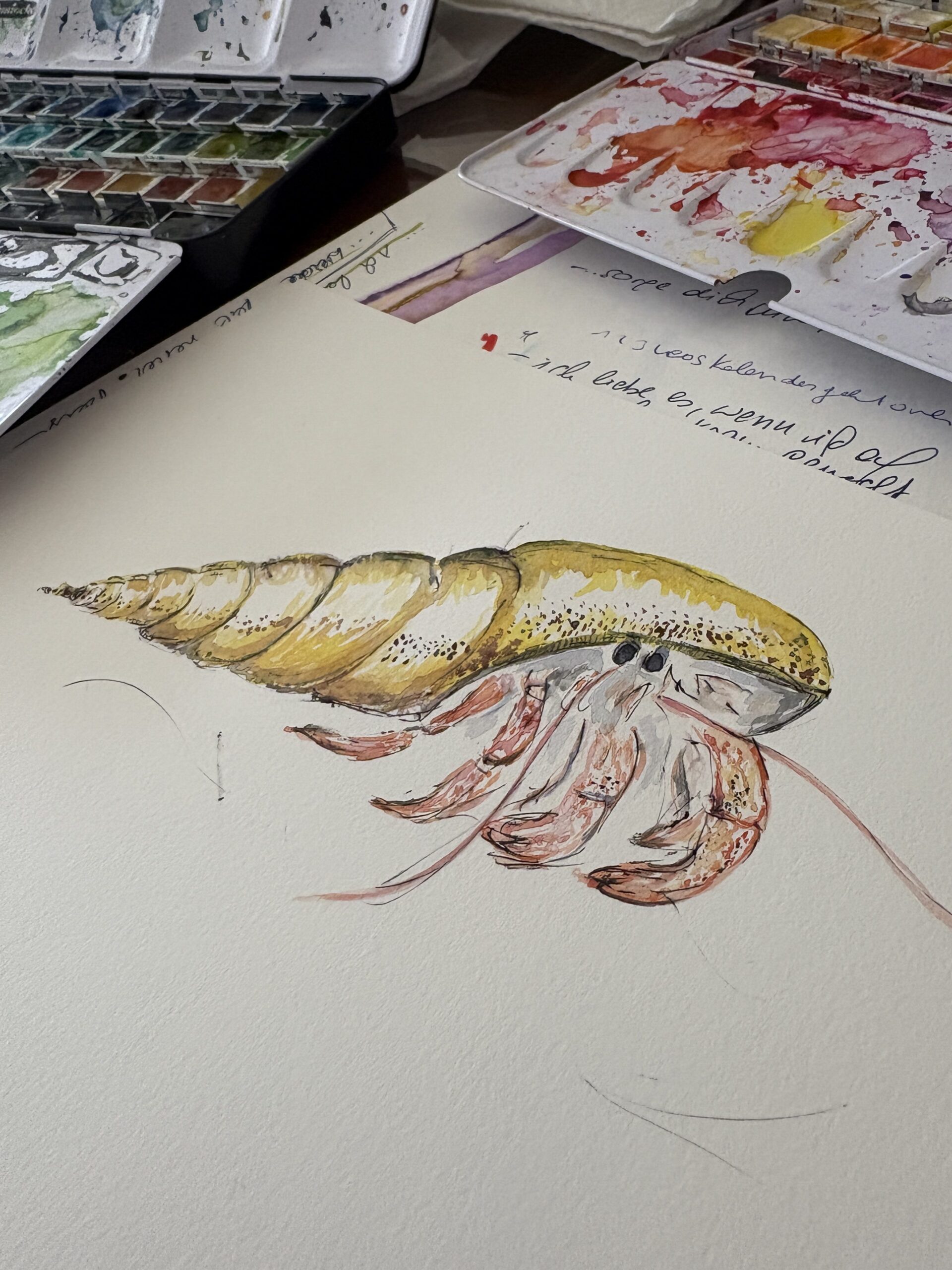 Krafttier Einsiedlerkrebs_Aquarell_seaside collection_Claudia Edelmayer-Murri_Edelmurri