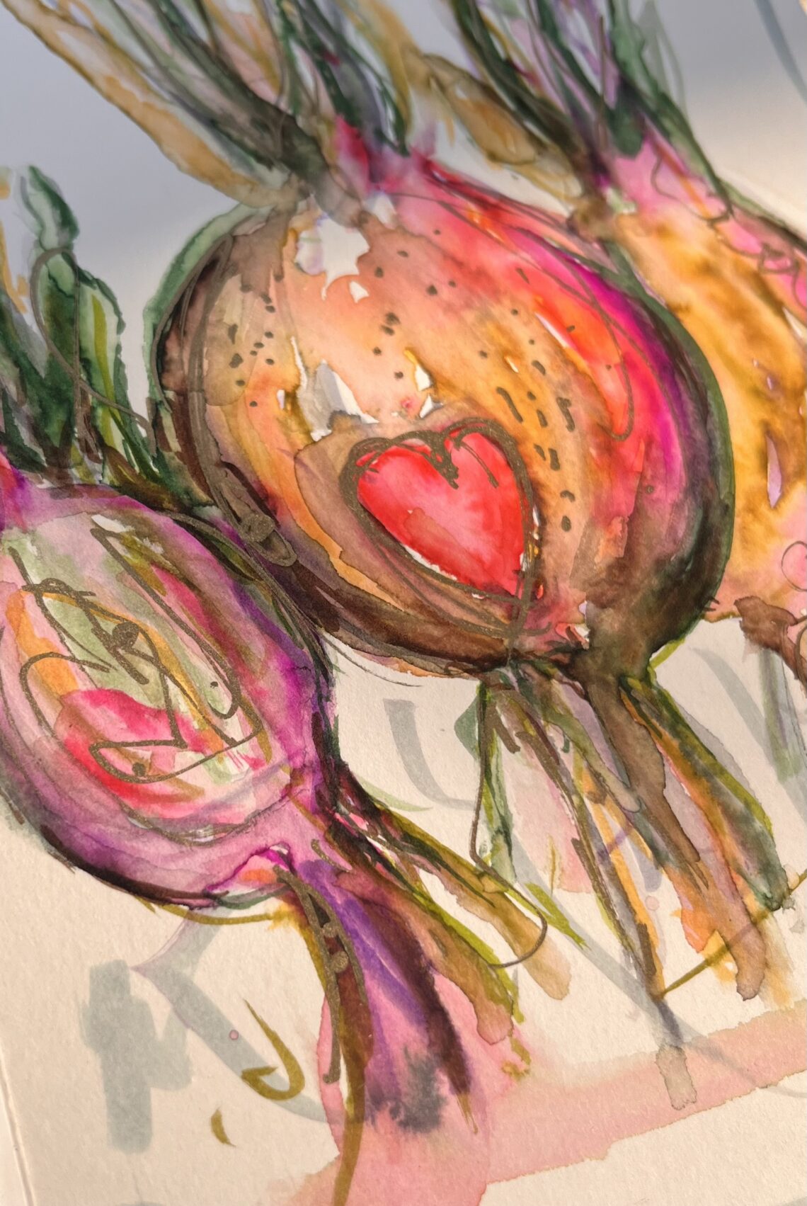 Aquarell Tulpenzwiebel von Claudia Edelmayer-Murri